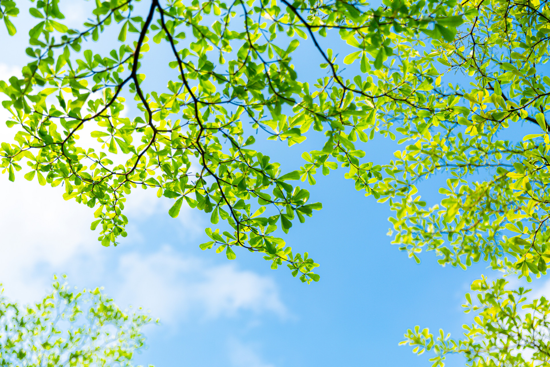 “逃離”炎熱夏日，您需要一扇隔熱節(jié)能的好門窗！