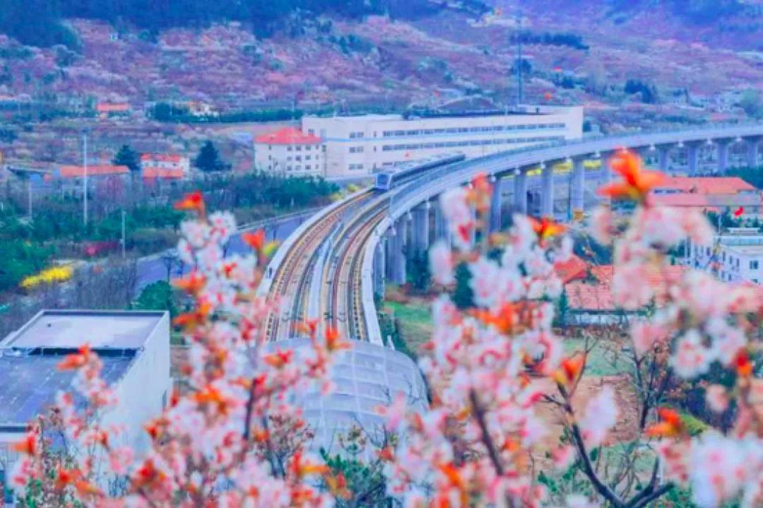 微信圖片_20210331181423.jpg