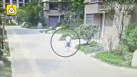 微信圖片_20210508172050.gif